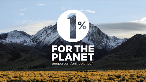 blog-article-thumbnail-image